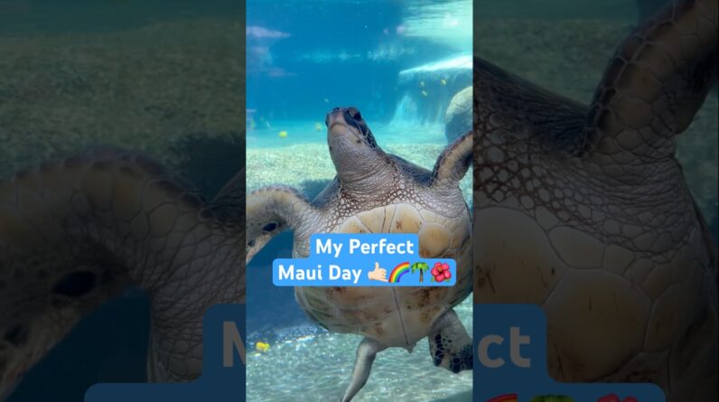 maxresdefault 17